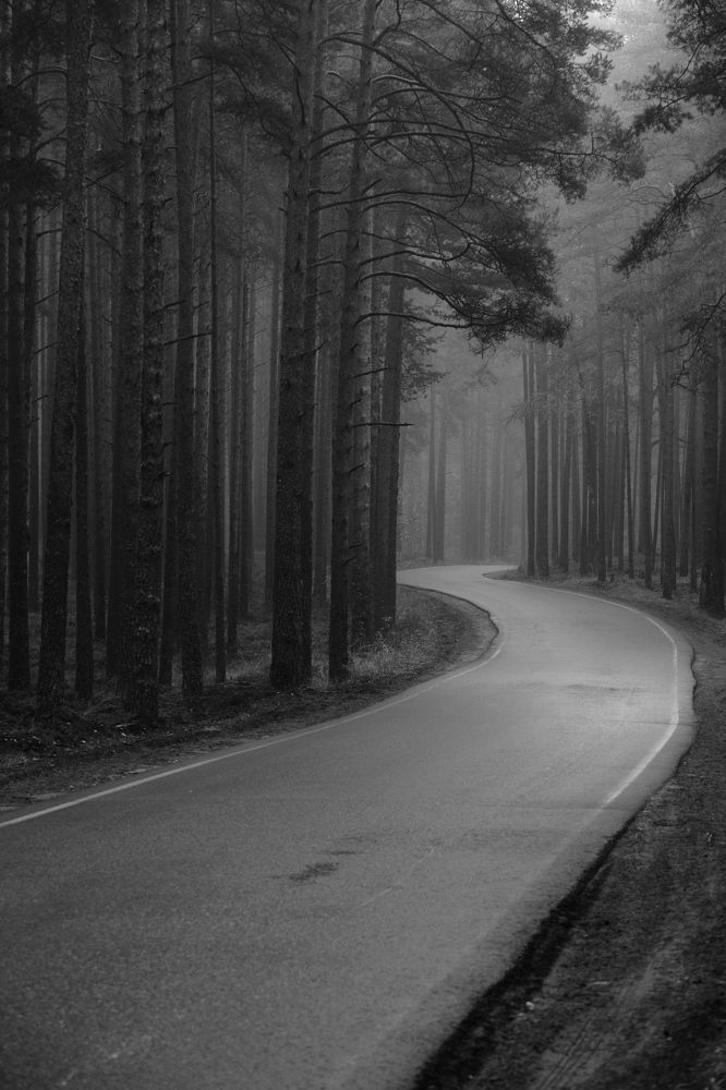 Photograph by Алексей Дудинский