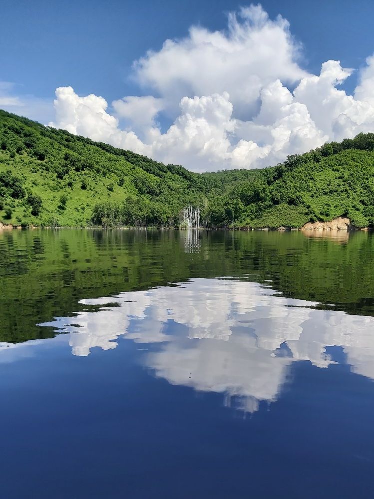 Photograph by Елена