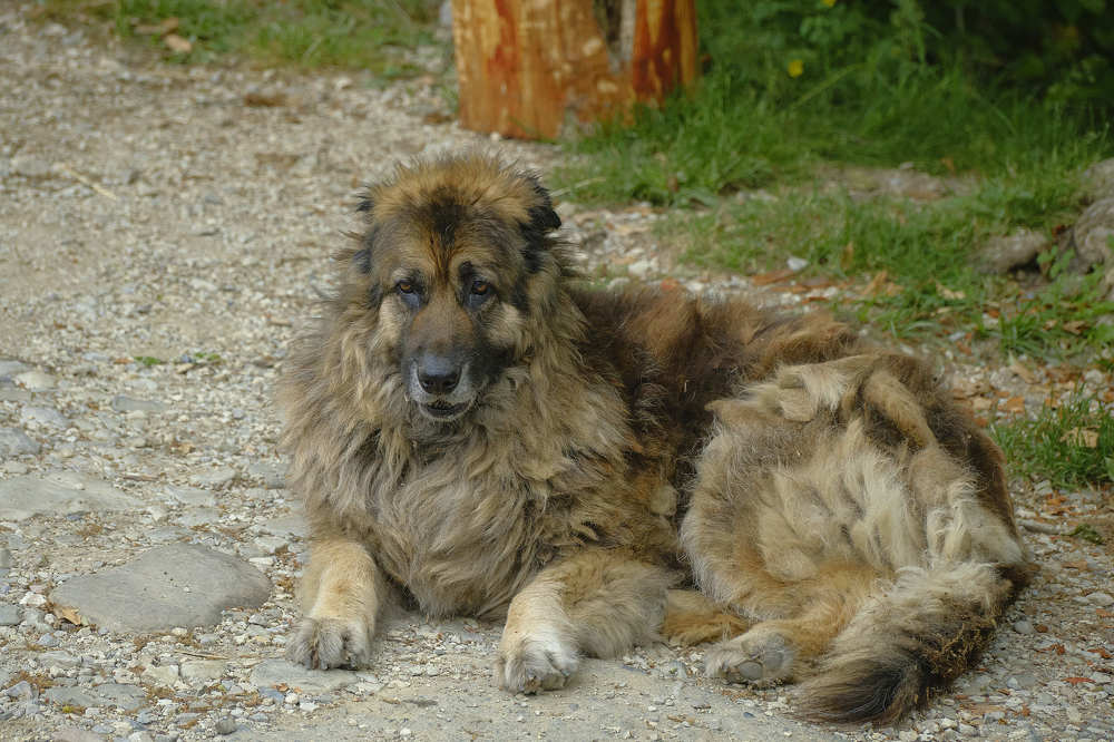 Photograph by Де Ка