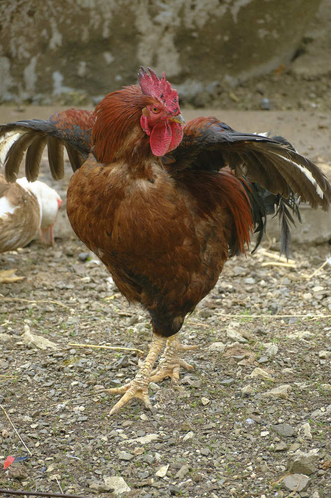 Photograph by Де Ка