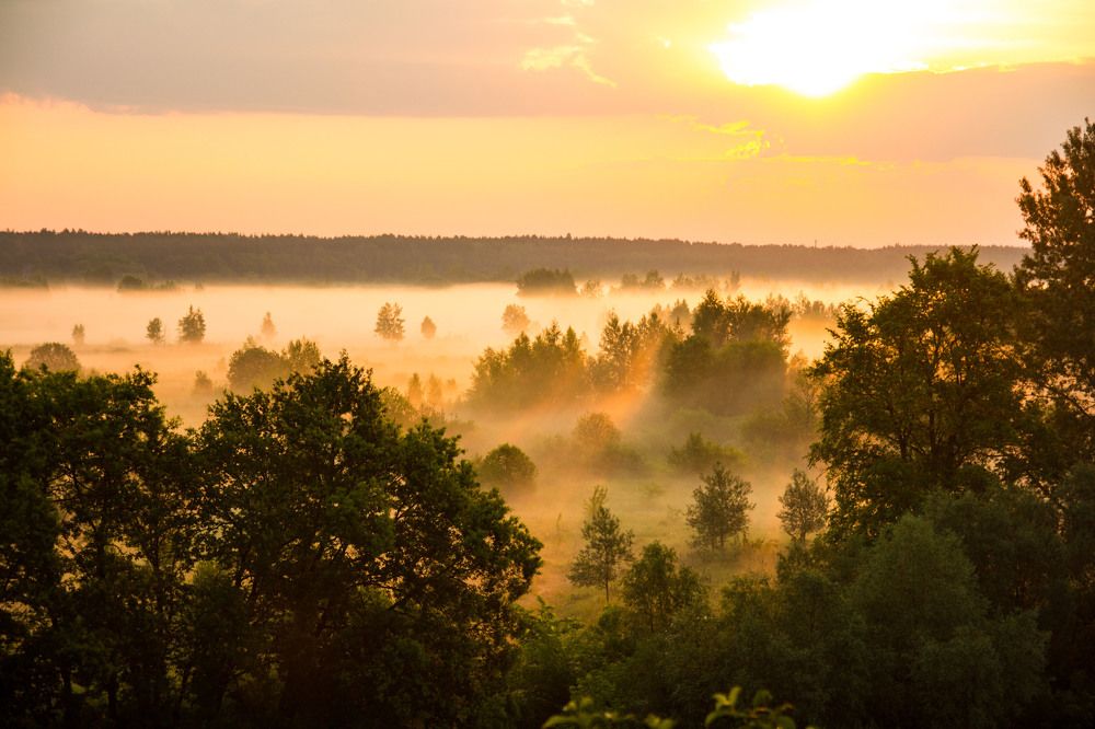 Photograph by Елена