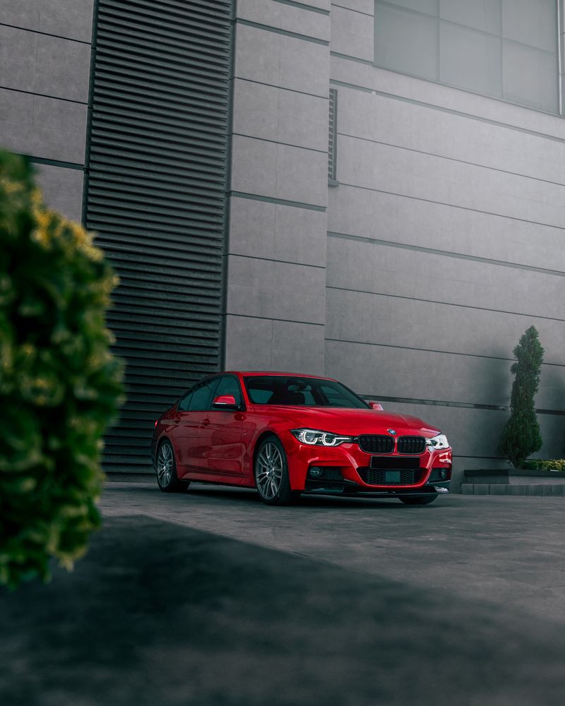 Photograph by Alireza Aghahosseini