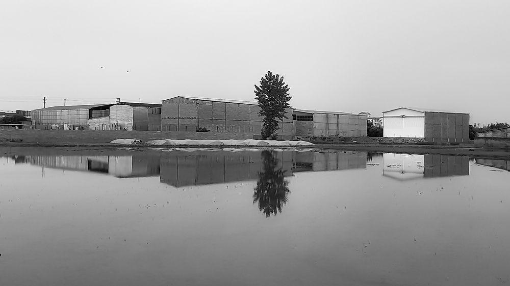 Photograph by mahdi ghanbari