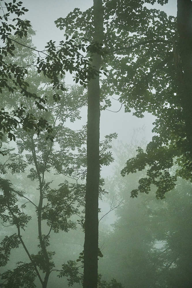 Photograph by Де Ка