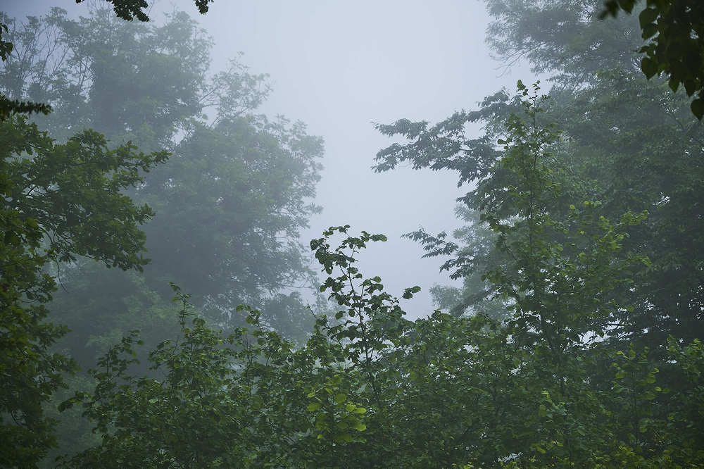 Photograph by Де Ка