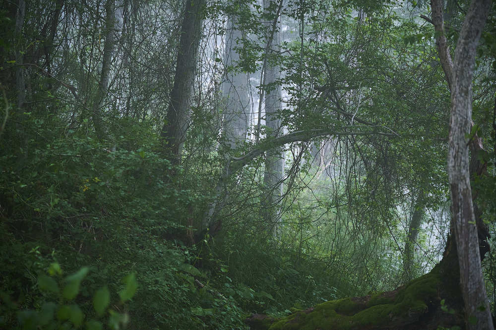 Photograph by Де Ка