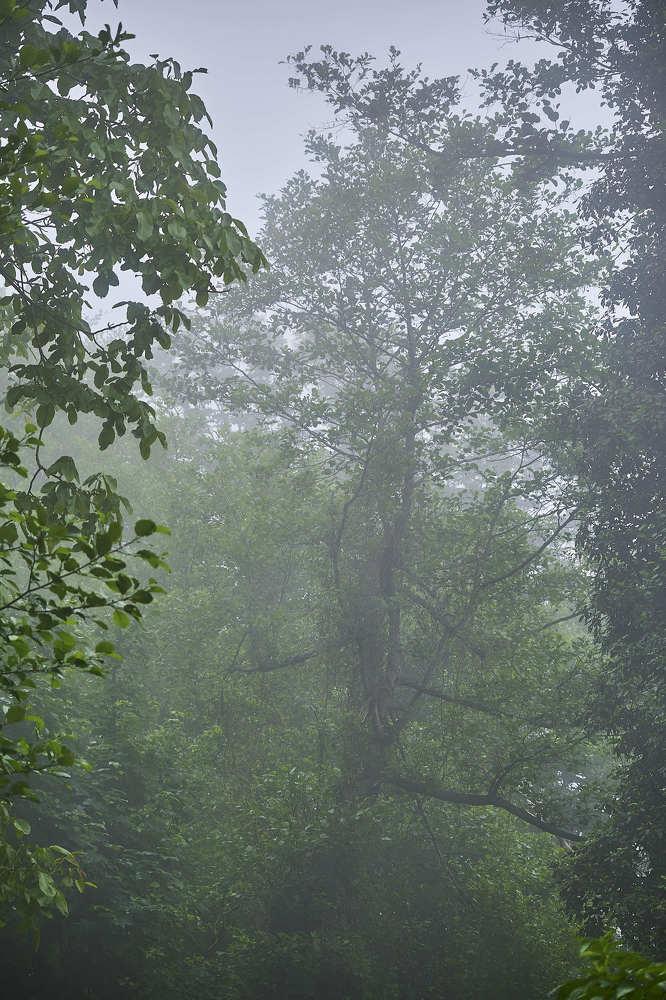 Photograph by Де Ка