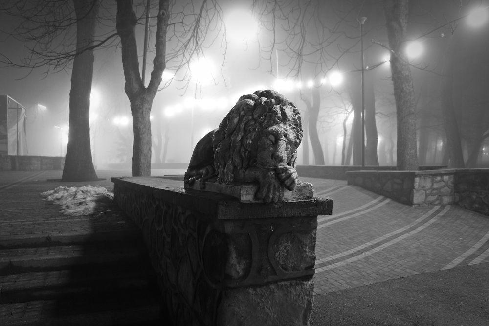 "Парк. Туман. Лев"