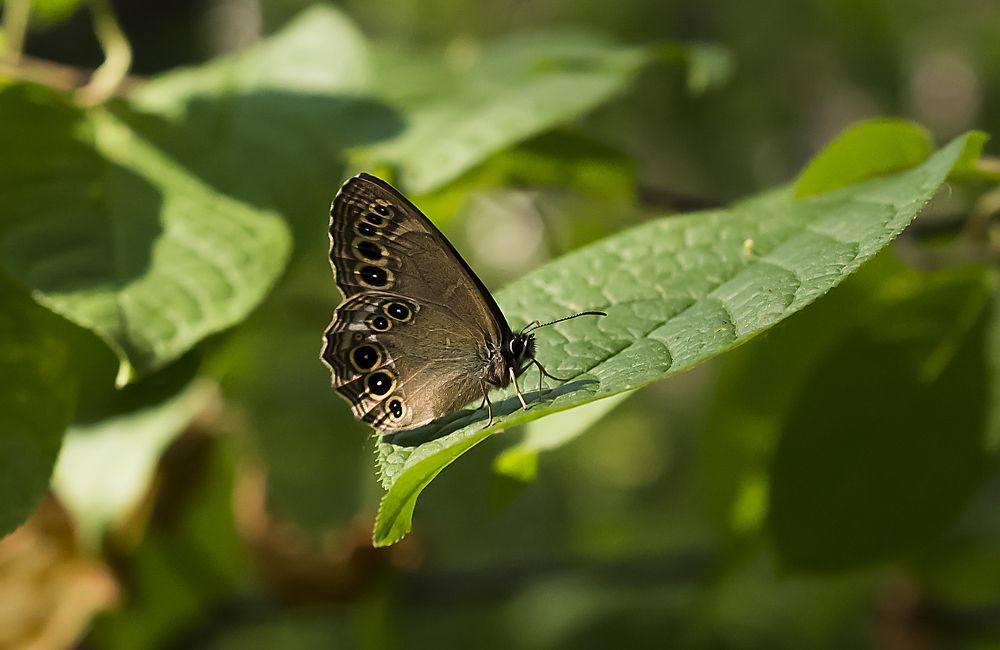 Photograph by Дроздова Наталья