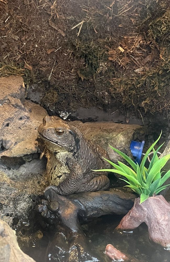 Photograph by Gorobets Olga