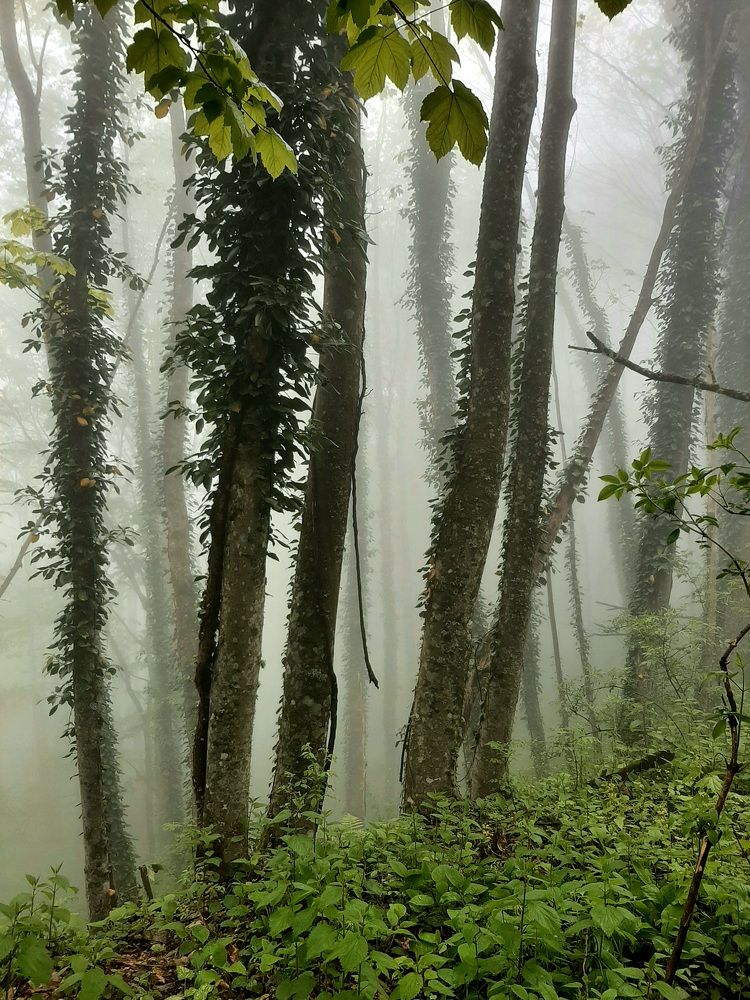 Фотография автора Наталья Гаврилова