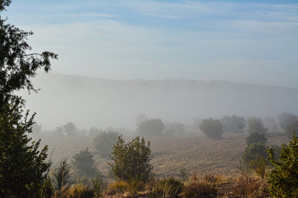 Photograph by Bachir Rabouh