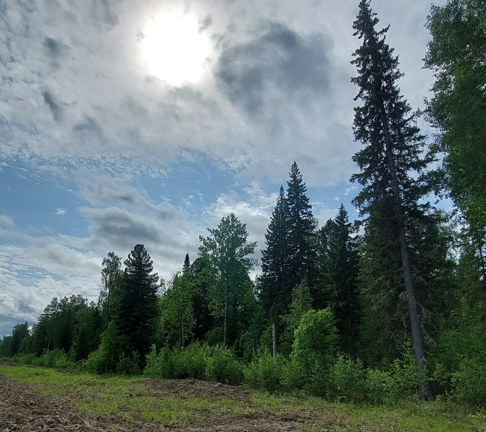 Photograph by Степан Павловский