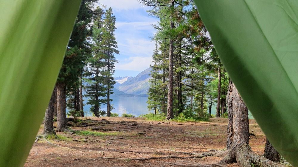 Photo #9233523