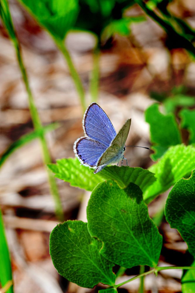 Photograph by Денис Дорошенко