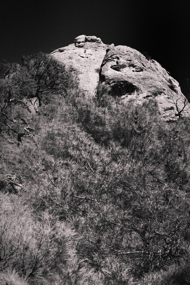 Photograph by Алексей Ильин