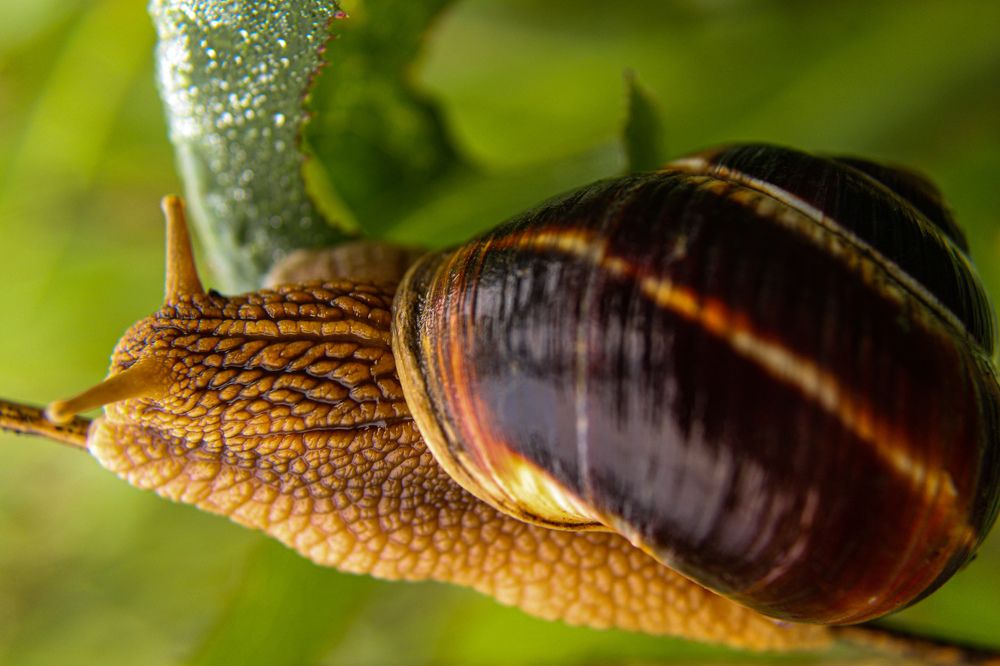 Photograph by Ирина Дмитриенко