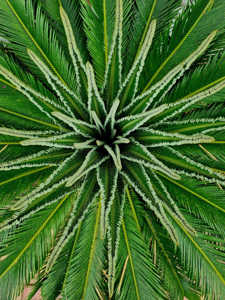 Photograph by Алексей Миронов