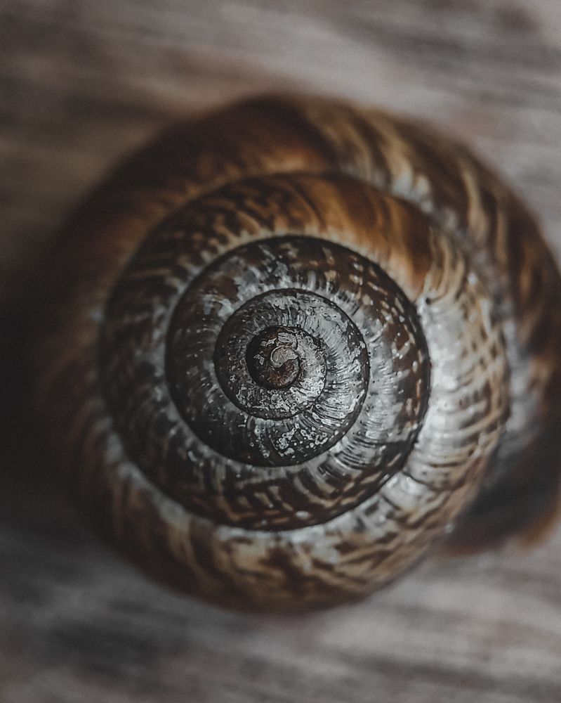 Фотография автора Марина Алексеевская