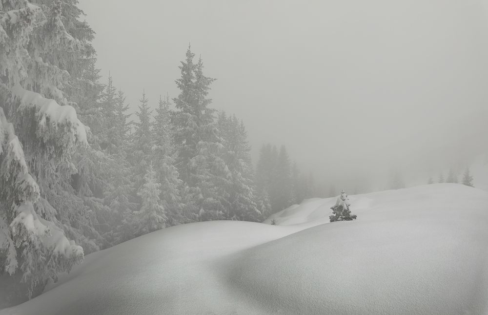 Photograph by Николай Матвеев