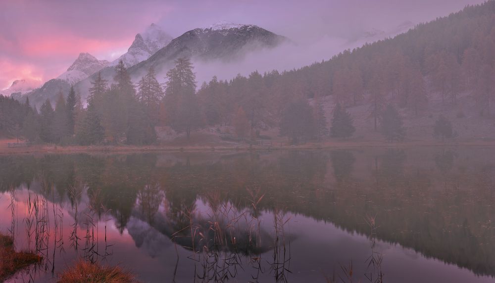 Photograph by Николай Матвеев