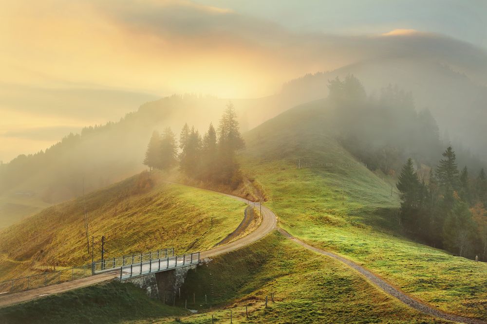 Photograph by Николай Матвеев