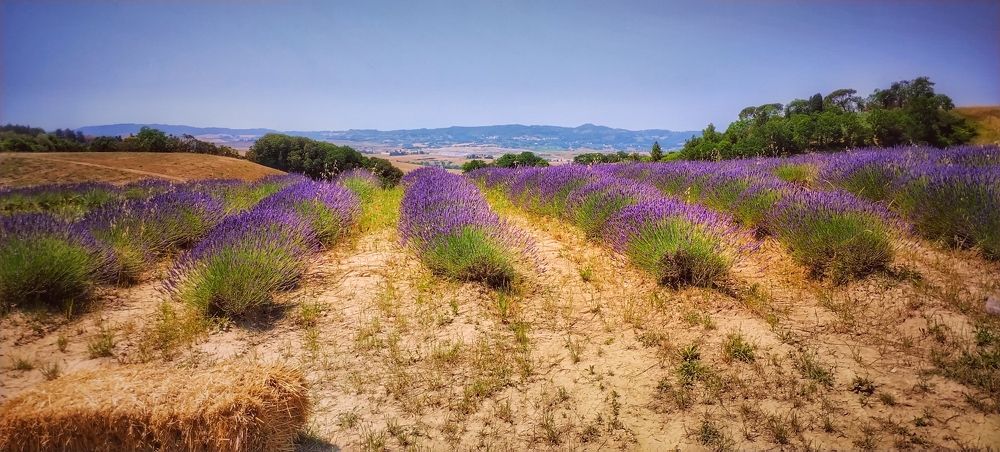 Photograph by Елена Егорова