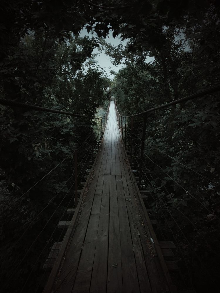 Параллельные миры