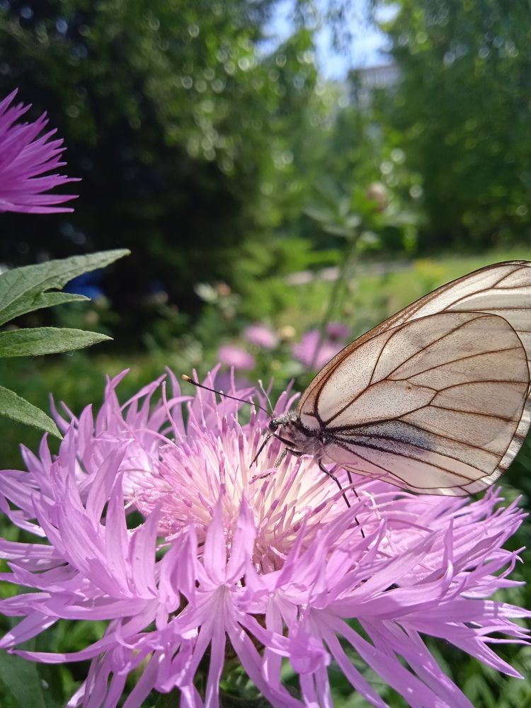 Photograph by Наталья Сорокина