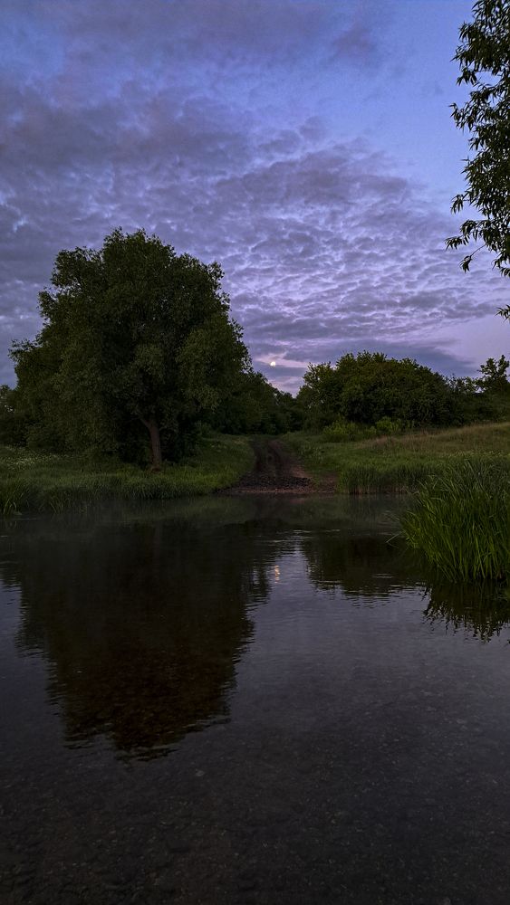 Photograph by Михаил Беляев