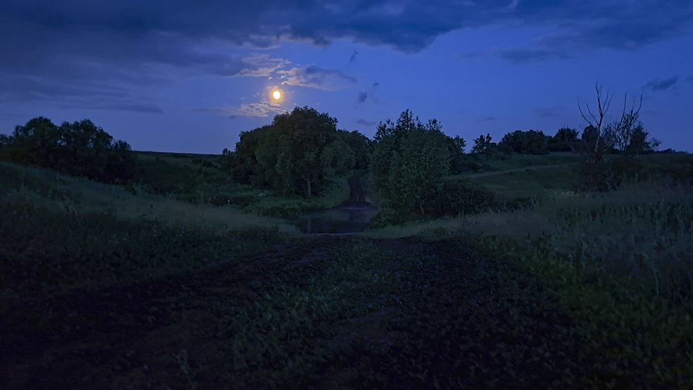 Photograph by Михаил Беляев