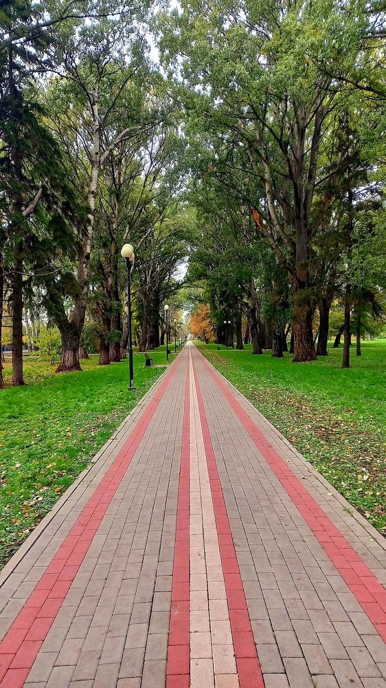 Photograph by Marina Kozlova