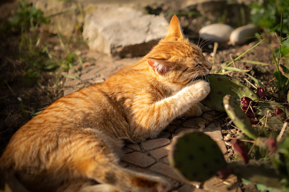 Photograph by Uliya Krakos