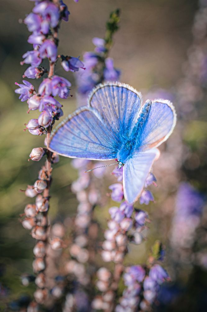 Photograph by Владимир Баранов