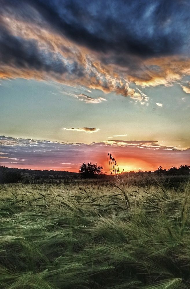 Photograph by Наталья Исиченко