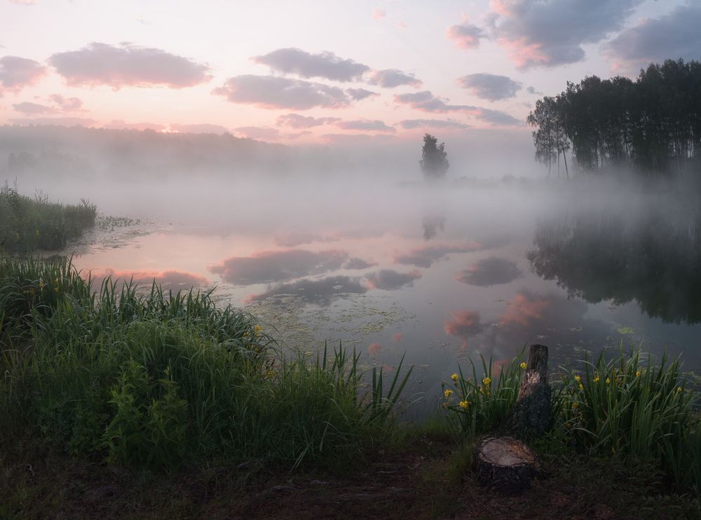 Photograph by Баранов Олег