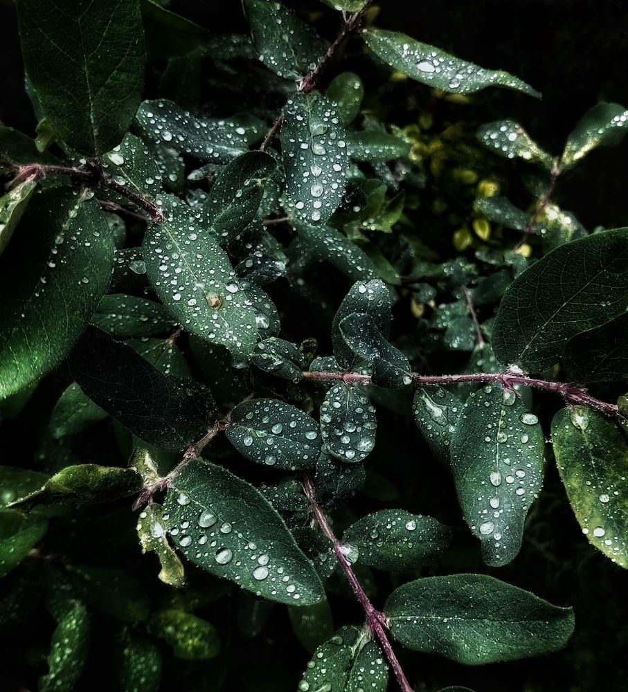 Photograph by Людмила М