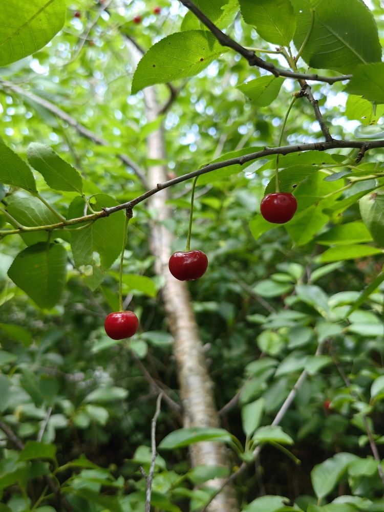 Фотография автора Юлия Лубкина