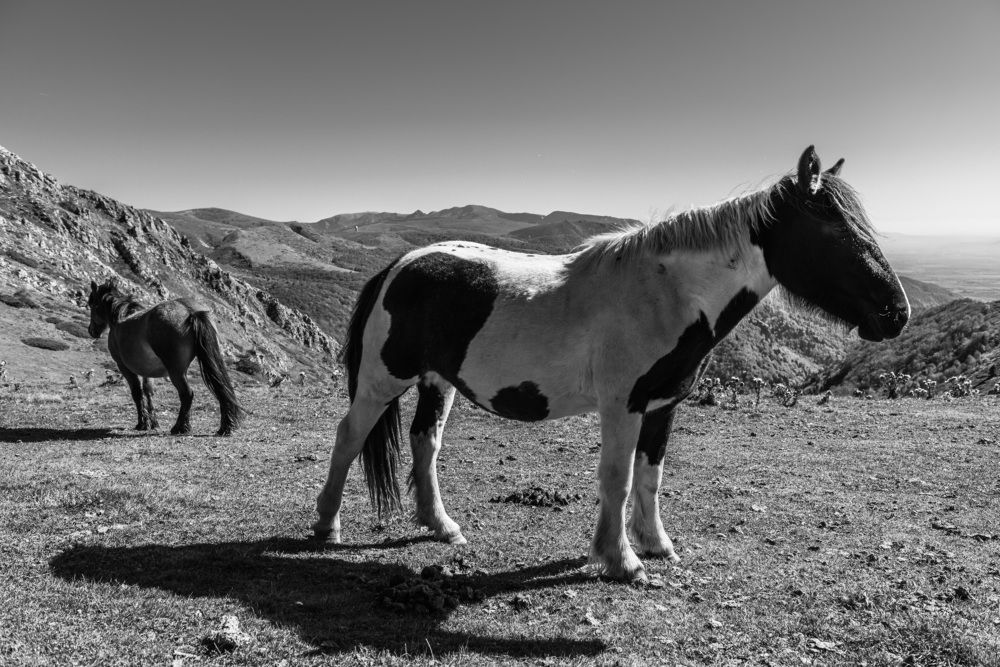 Photograph by Victor Mihaylov