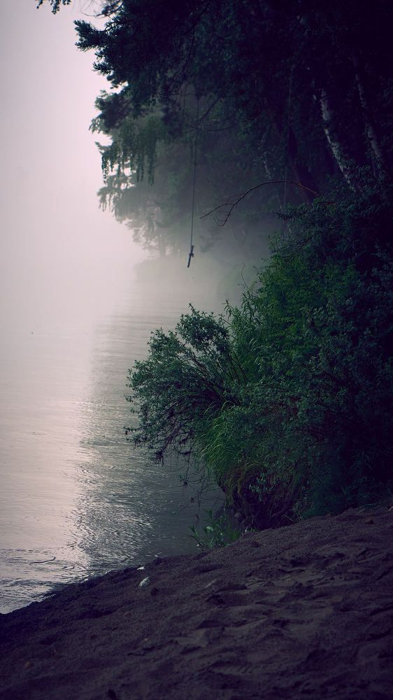 Photograph by Евгений Имамутдинов