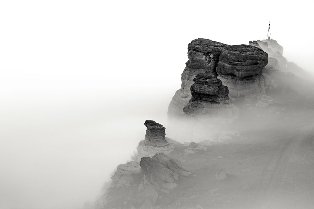 Photograph by Полякова Наталия