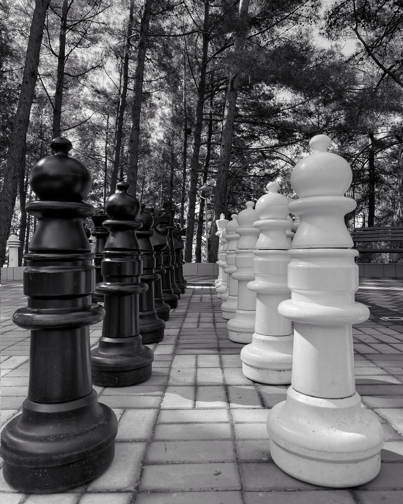 Photograph by Марина