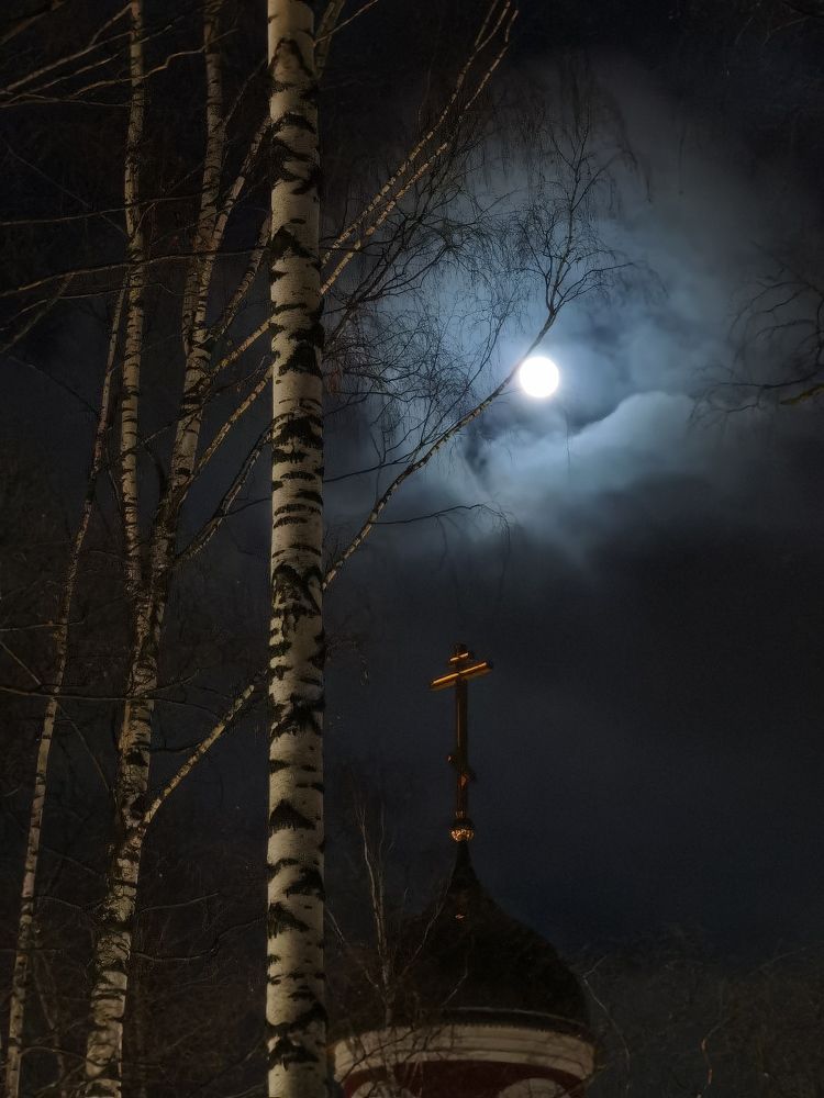 Photograph by Алексей Еремеев