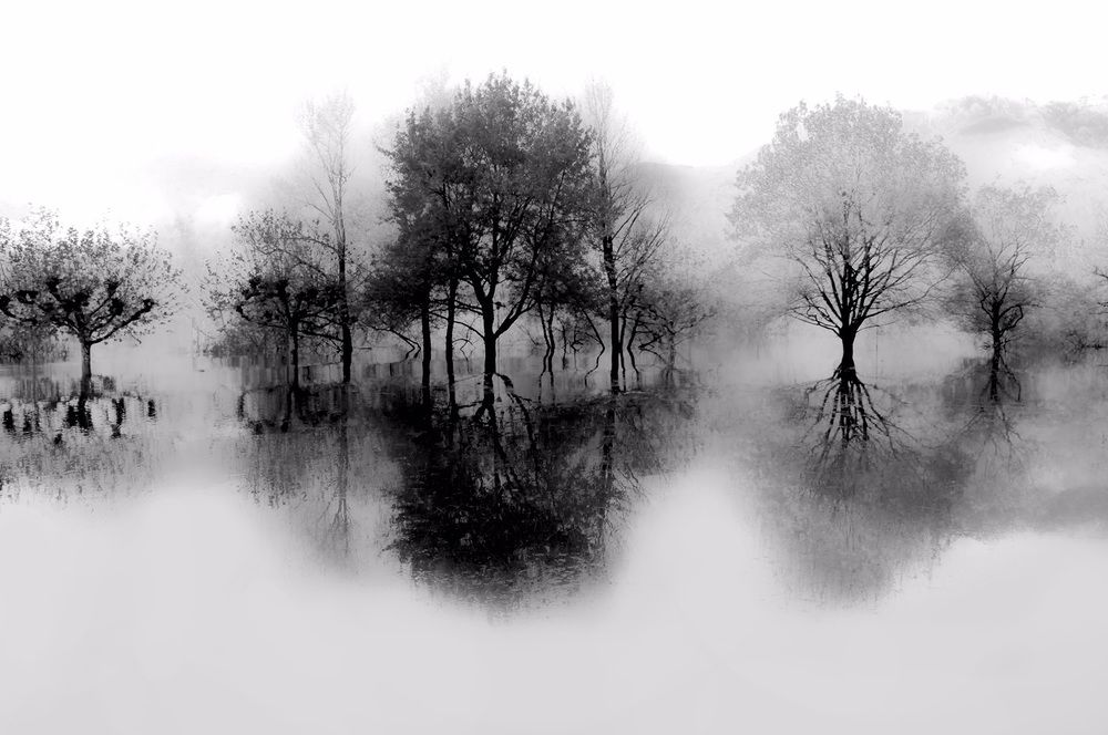 Фотография автора Catherine