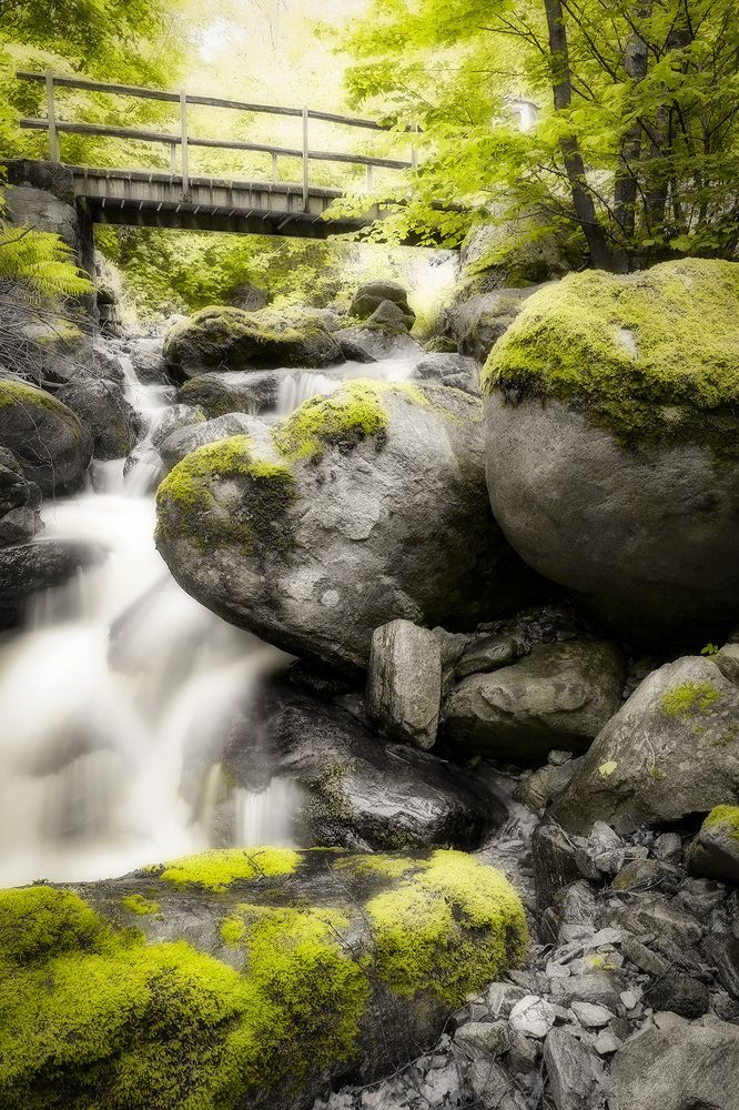 Фотография автора Catherine