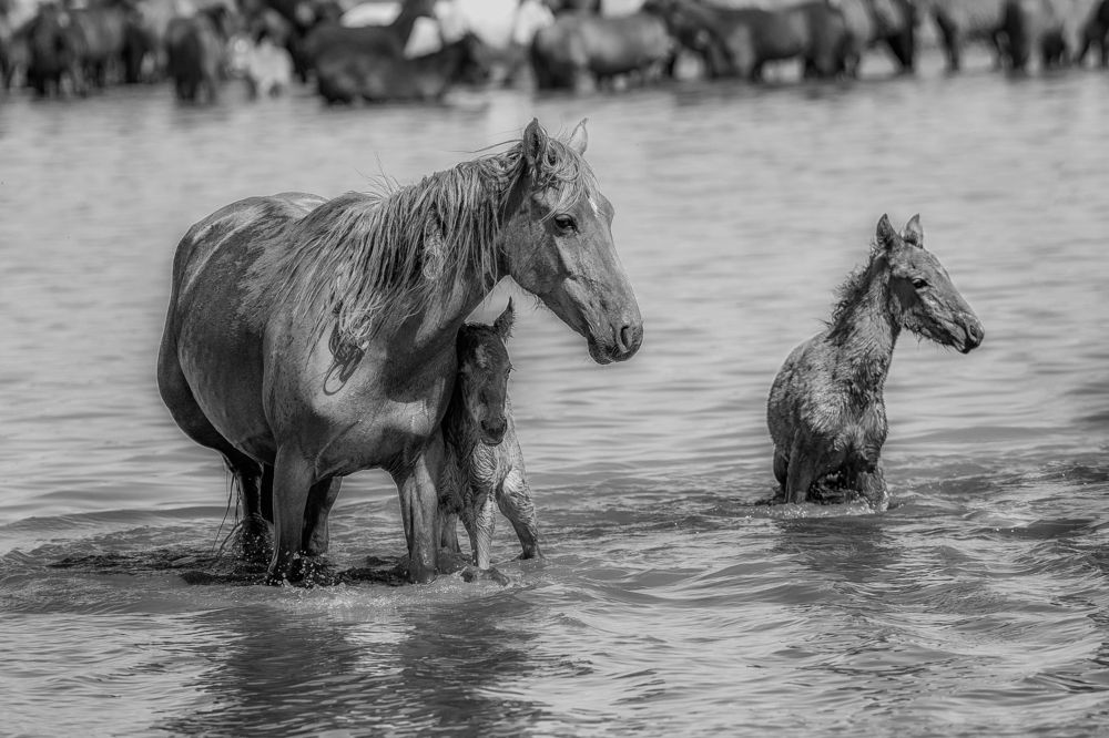 Фотография автора Лазарев Сергей