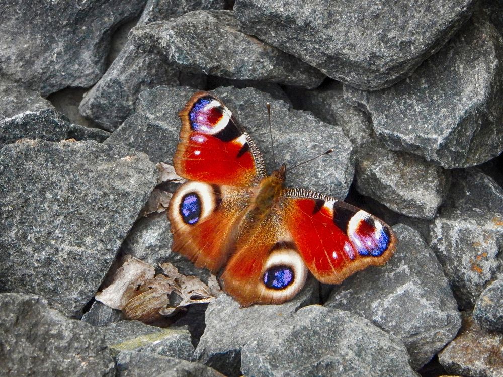 Фотография автора Валерий Цуркан