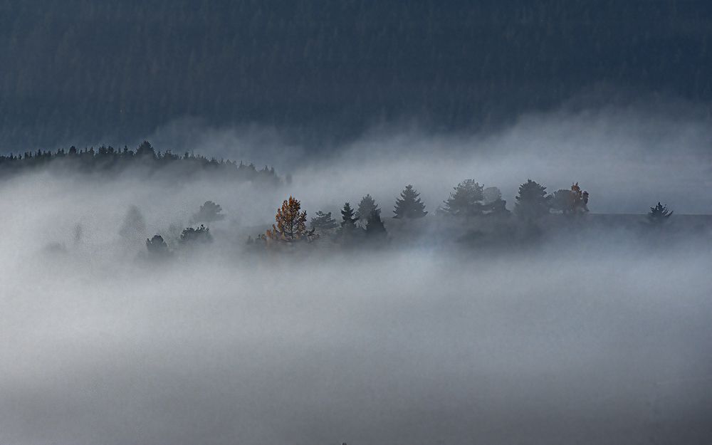 Photograph by Slavko Rošul