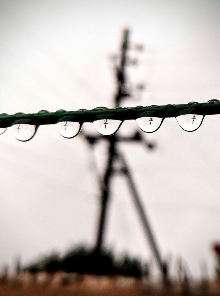 Фотография автора BIPLAB MISRA