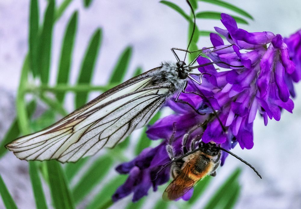 Photograph by Юлия Лушникова